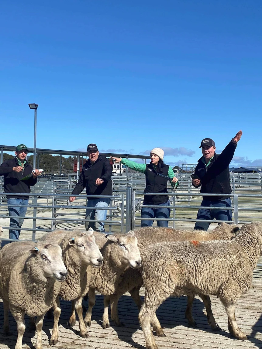 Rising preference of female livestock brokers linked to enterprise bid