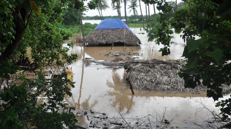 12,277 properties broken in Godavari floods