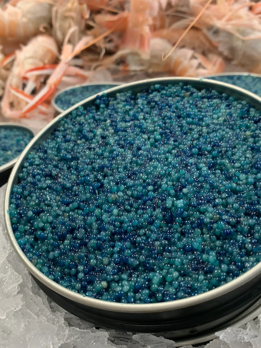 Would you place that blue scampi caviar? Fishermen voice there might be a label abet to being extra adventurous alongside with your seafood alternatives