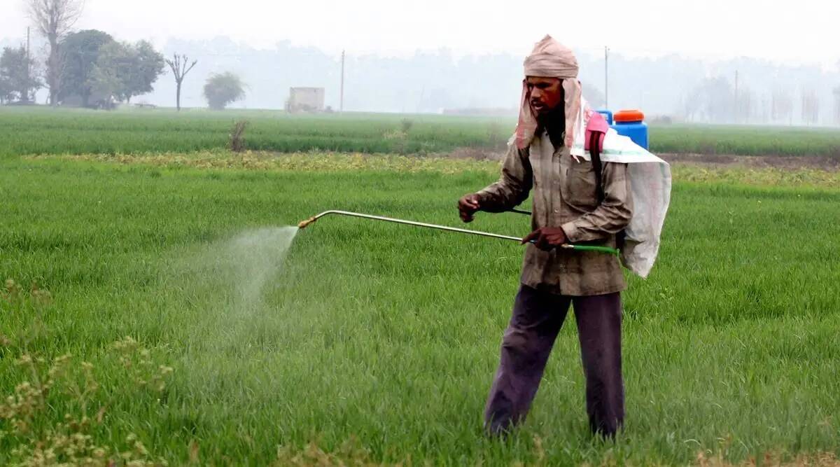 Fertiliser imports from Russia up, construct up 20% of total in April-June – The Indian Specific