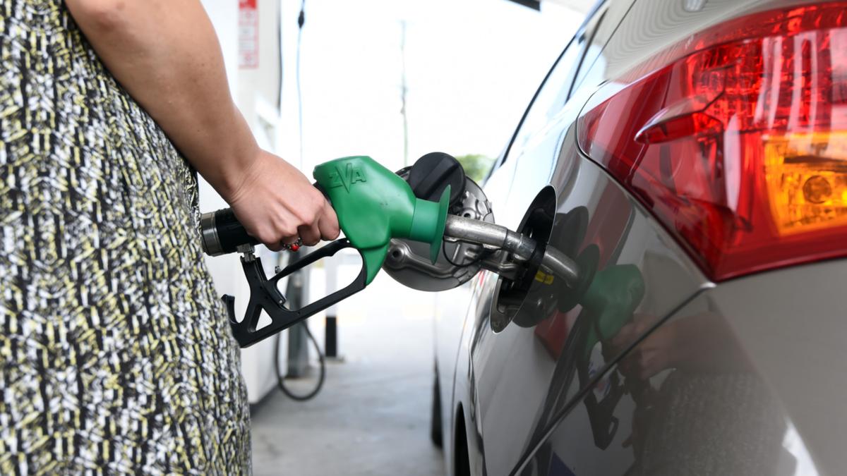 Australia petrol prices: Novel Zealand extends gas excise cuts