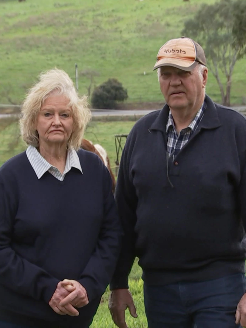 ‘It’d cripple livelihoods’: Farmers apprehensive about foot-and-mouth illness — and authorities’s response