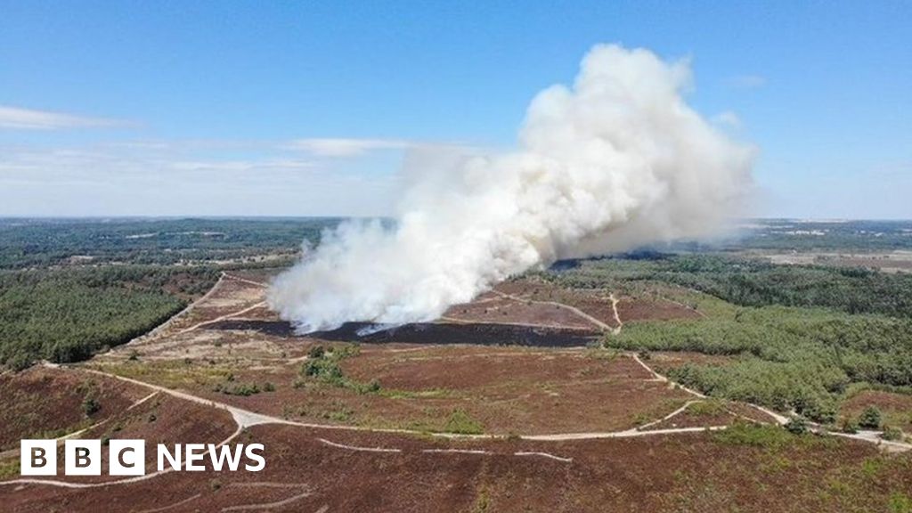 Surrey ‘main incident’ declared as grass fire ignites