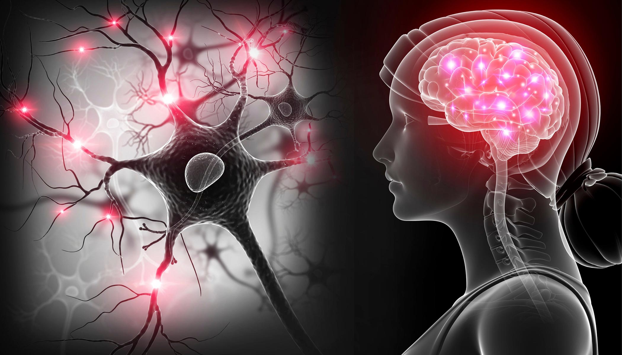 Horrifying: 91% of Identified Biological Pathways Linked to Alzheimer’s