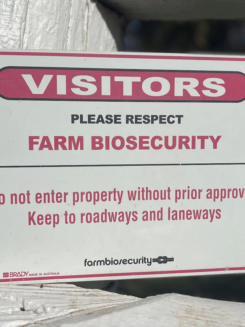 There’s extra to anguish about than apt FMD. Right here are Australia’s ‘particular and fresh’ biosecurity dangers