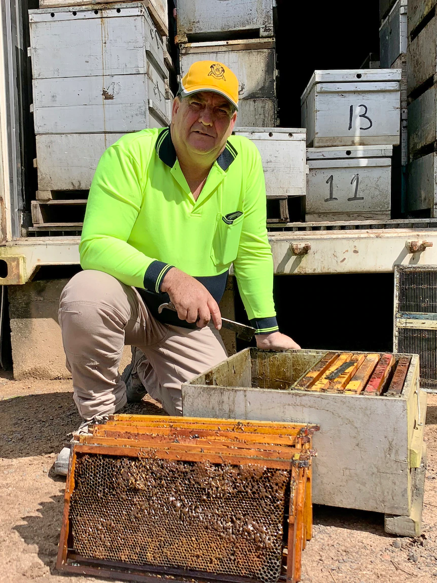 Red zone beekeepers hear ‘nothing in any plot’ from authorities after contemporary varroa mite detection