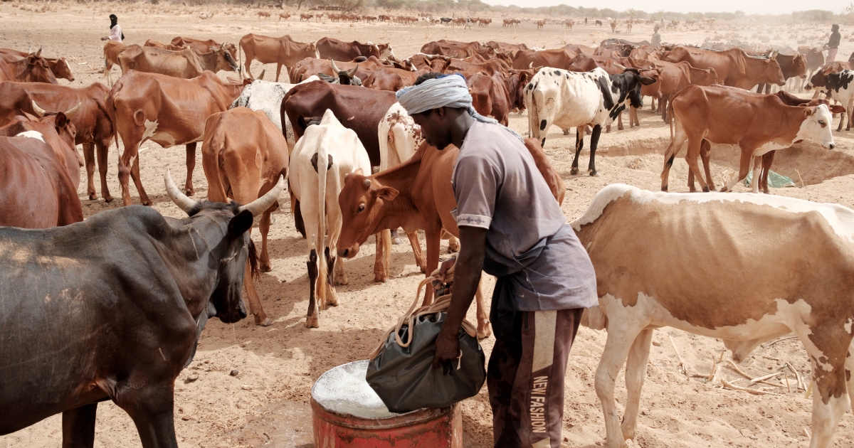 Shots: Mauritanians dig deeper wells to address climate trade