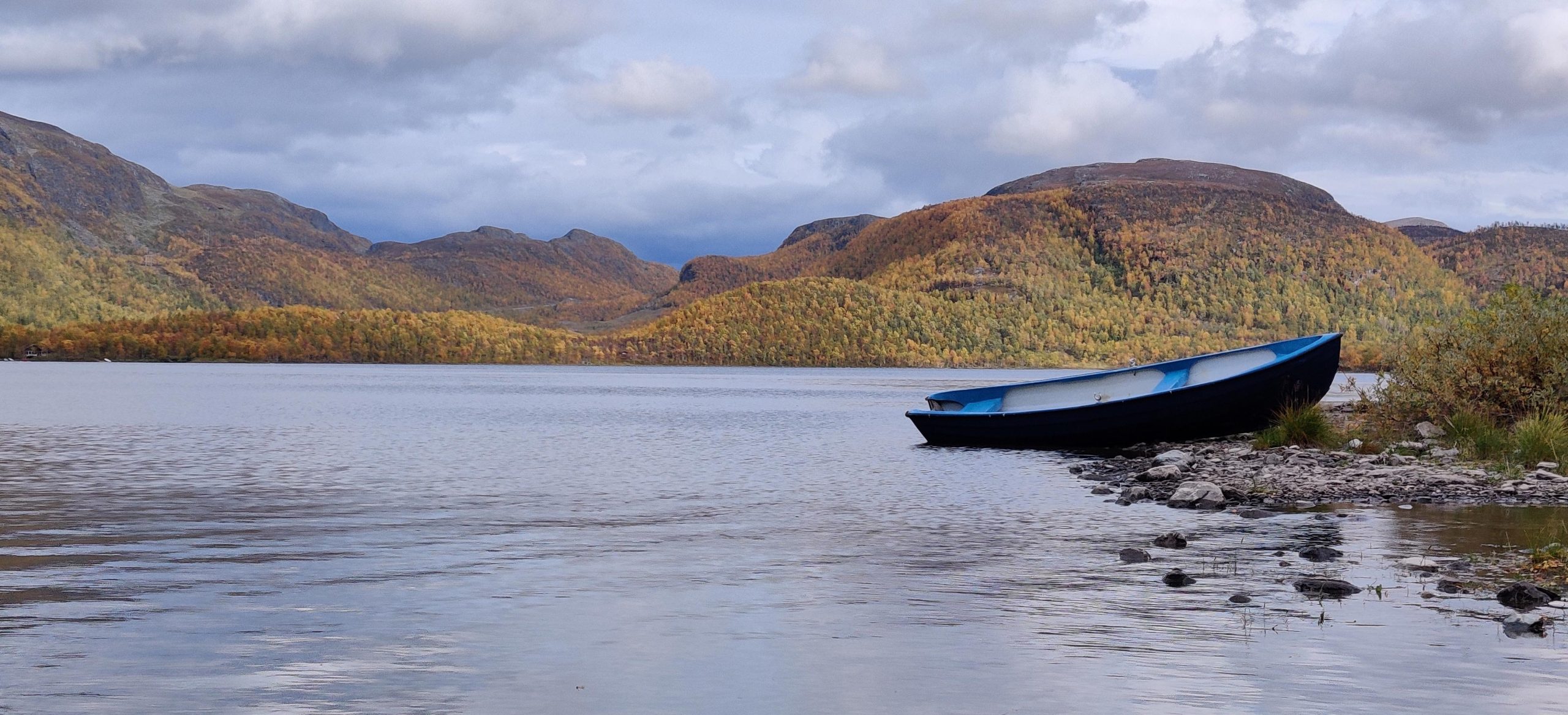 Micro organism Can Bag Plastic Air pollution From Lakes – “Stimulating the Complete Food Net”