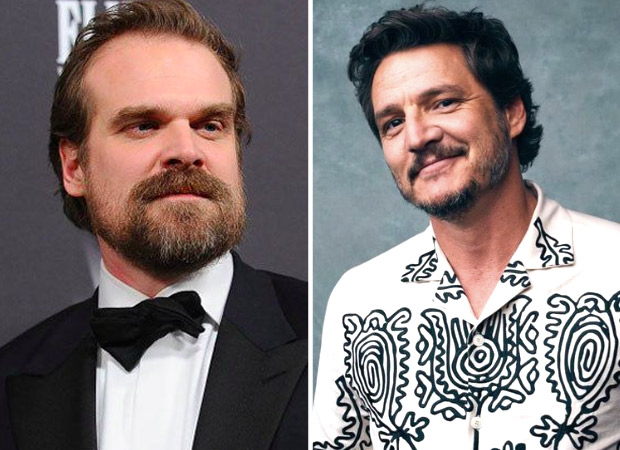 David Harbour and Pedro Pascal to star in and govt create appropriate crime restricted sequence My Dentist’s Homicide Trial at HBO