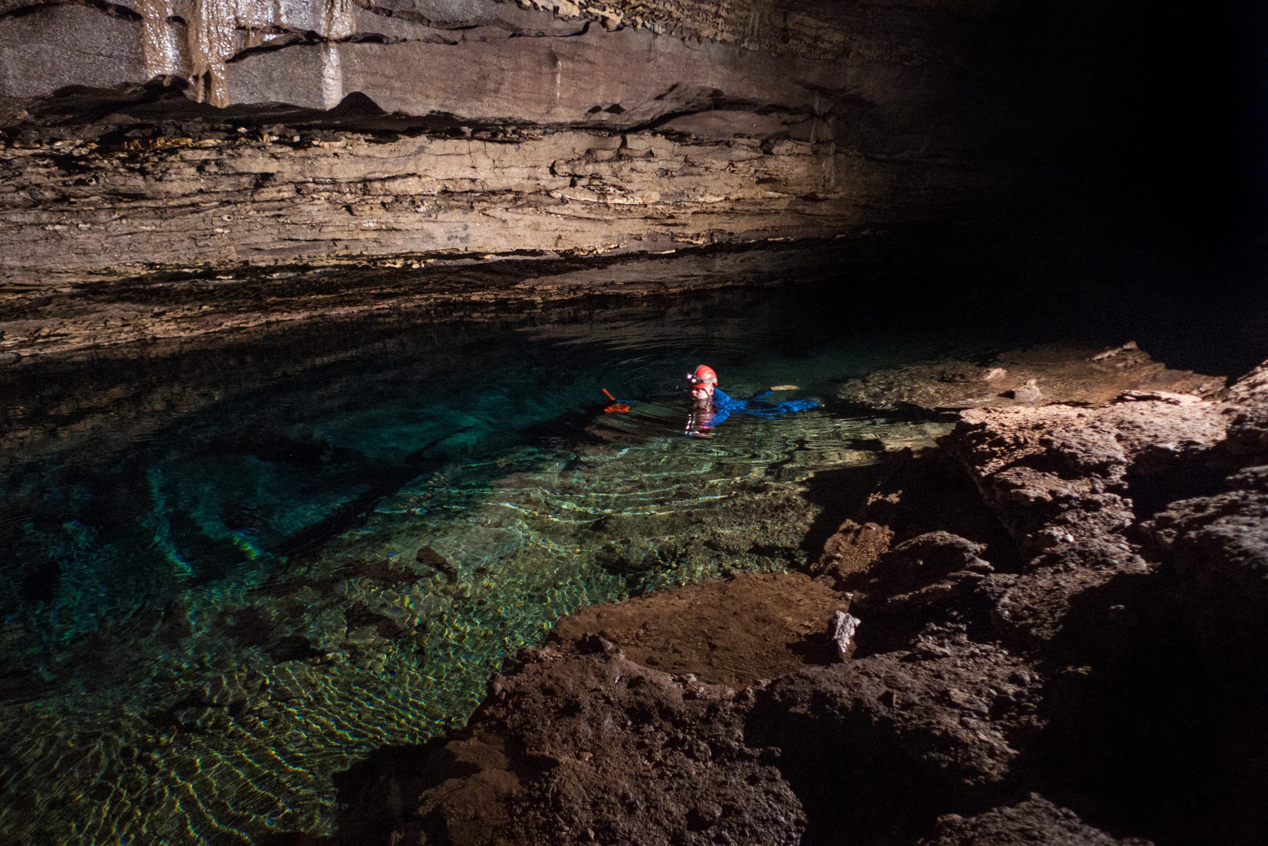 Rare Crustacean, Idea To Be Extinct, Existing in a 2500-Foot-Long Cave