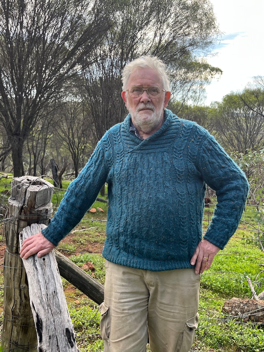 5 of Richard’s alpacas had been mauled to loss of life in every week. Now he’s pleading with canine dwelling owners to elevate more care