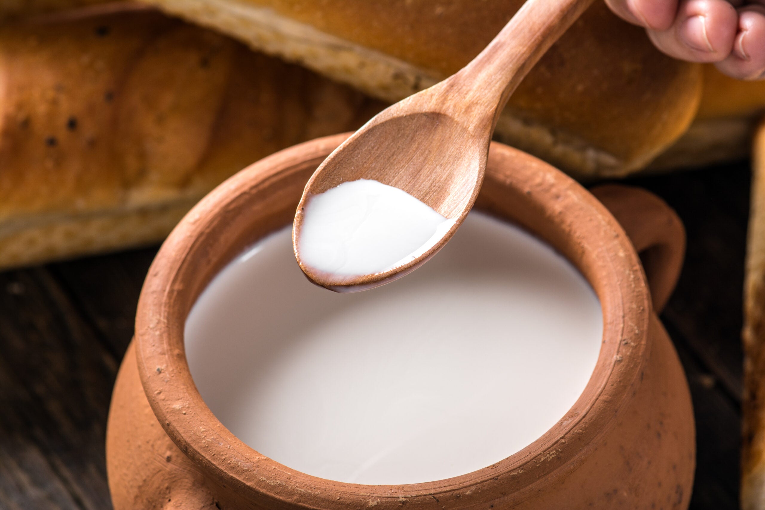 Similar old milk-drinkers had been precise fine with their lactose intolerance–except famine struck