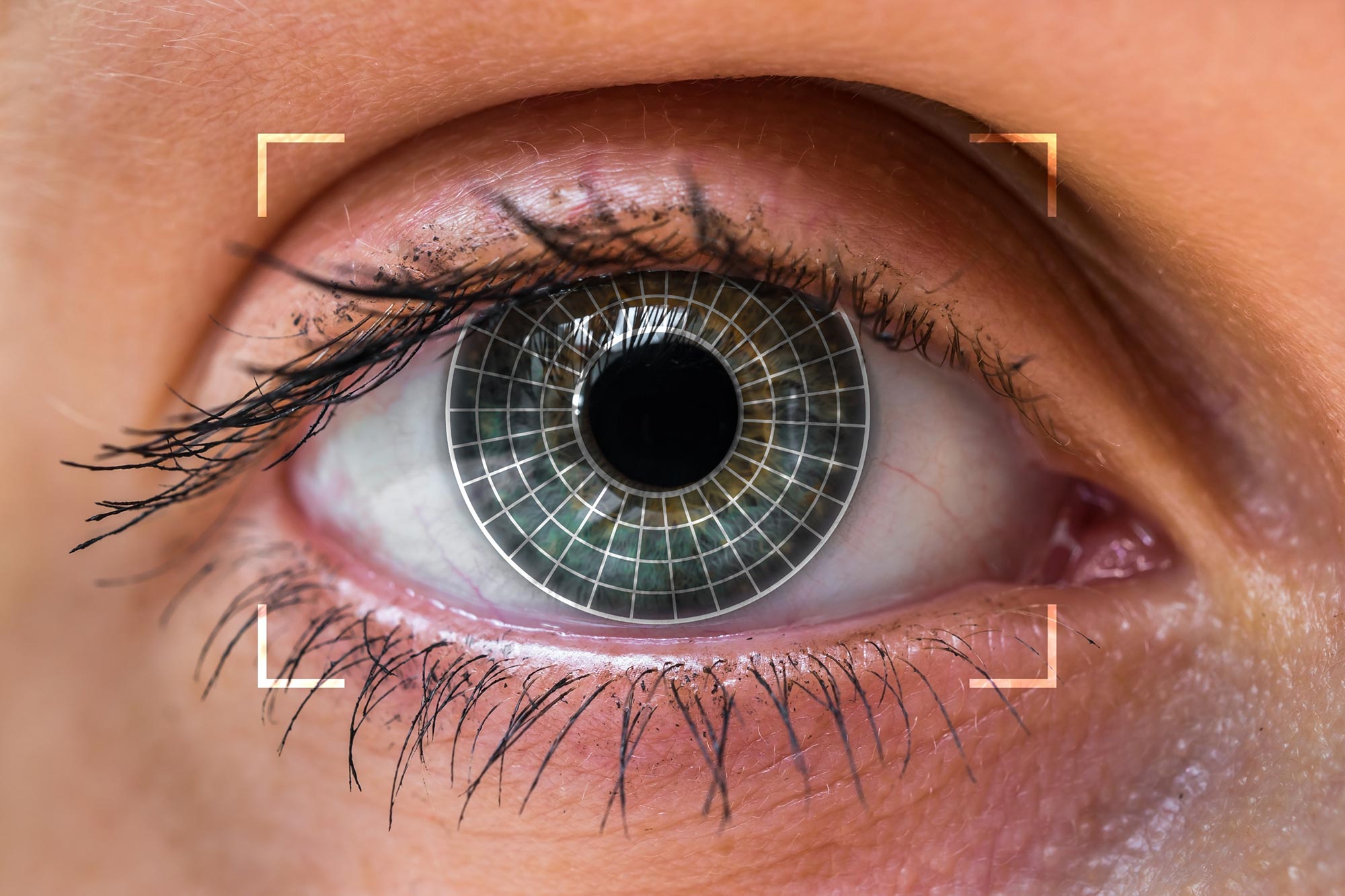 Your Eyes May likely well also Present if You Bask in ADHD or Autism