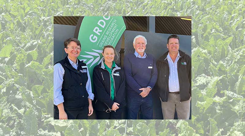 Australia: GRDC kicks off regional grains updates sequence in Hyden – Krishak Jagat English