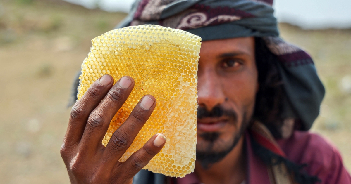 Photos: Yemen’s honey manufacturing a victim of war, native weather crisis