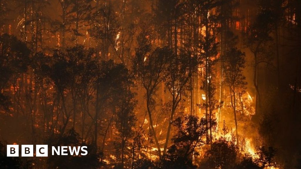 California wildfire: McKinney Fire spreads fast in north of mutter