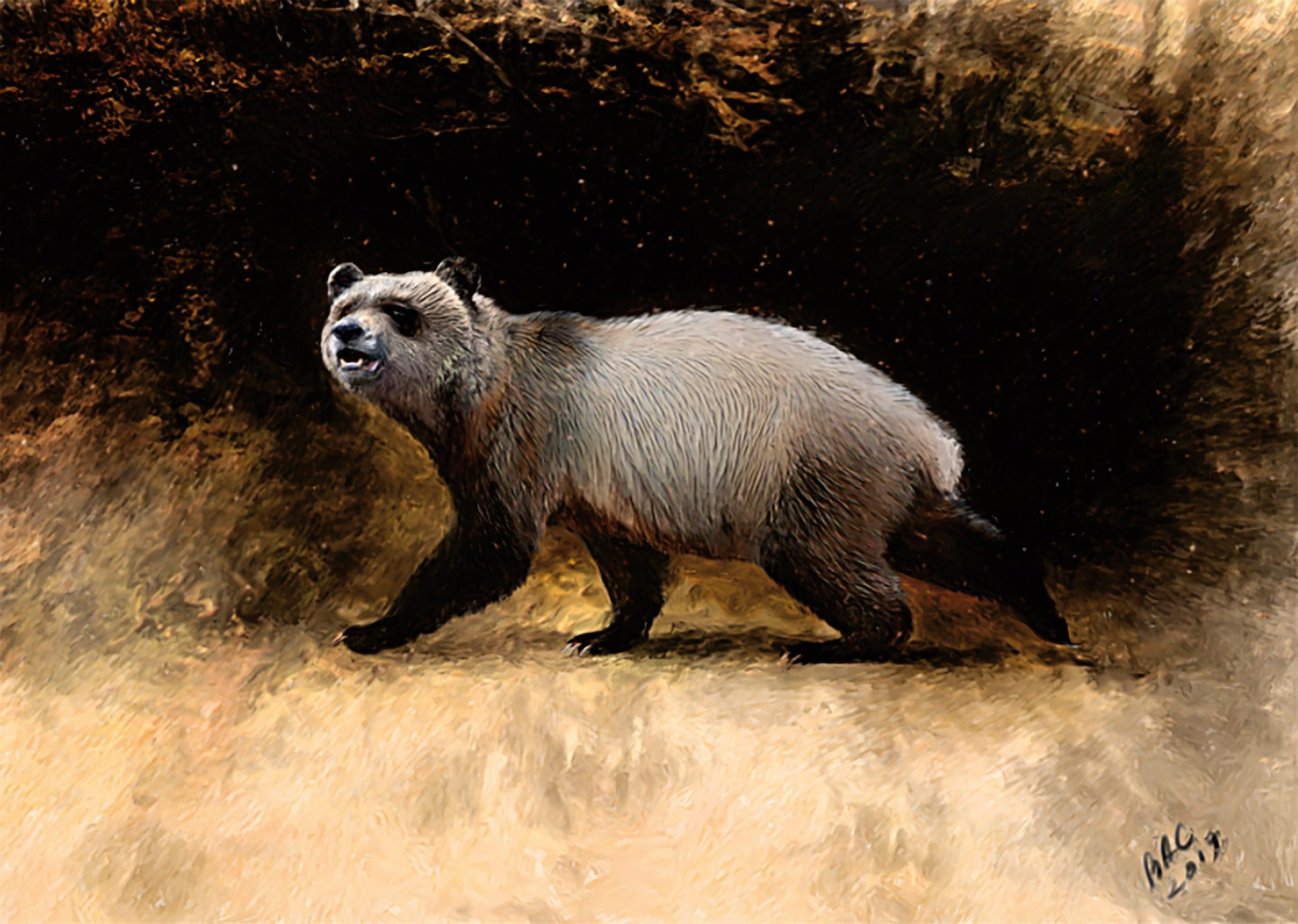 Europe’s Final Panda? Contemporary Discovery of Species Closely Related to Huge Panda