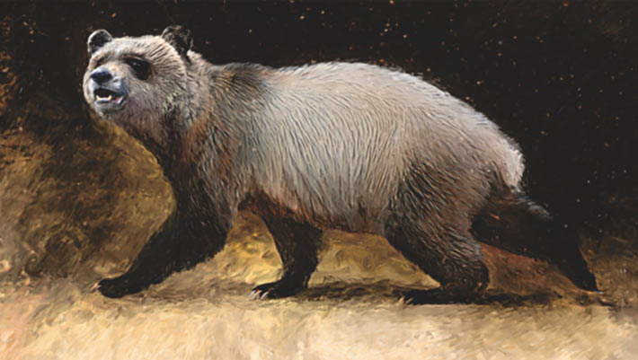 Big Panda’s Shut Relative Lived in Europe as Not too lengthy ago as 5.5 Million Years Ago