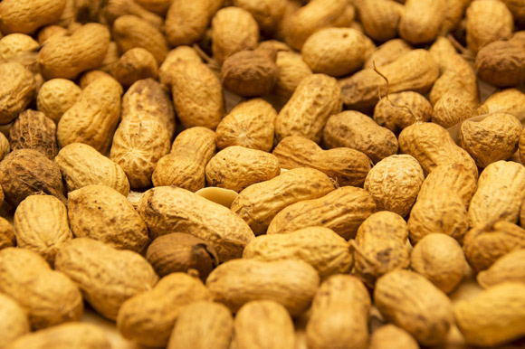 Peanut-Enriched Weight reduction program Promotes Weight Loss, Reduces Blood Stress