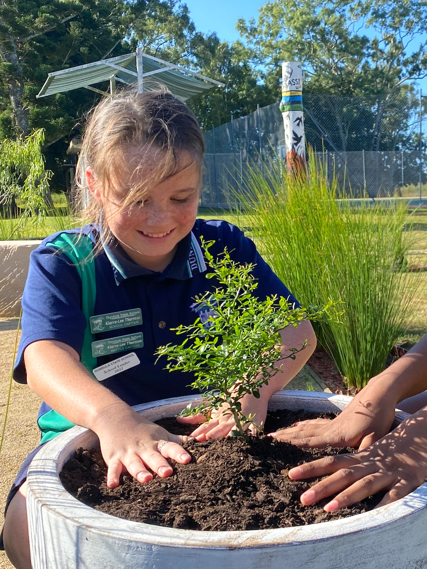 First Nations’ bush tucker gardens bearing fruit for schoolkids