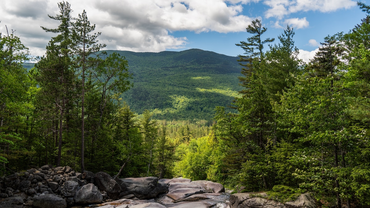 Show the natural, the surprising, and the horror-sharp in Maine