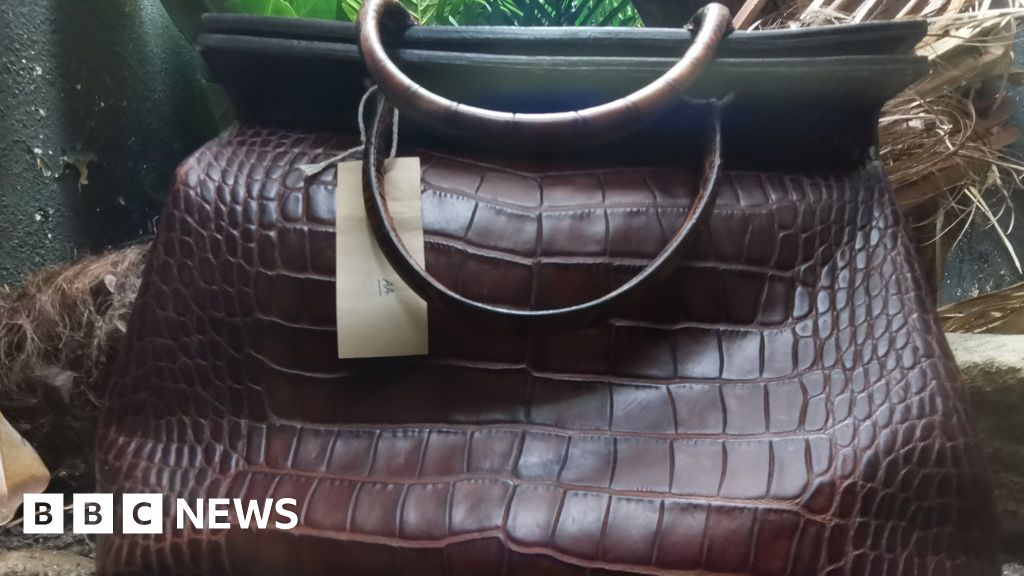 London Zoo’s crocodile pores and skin handbag indicate goes viral