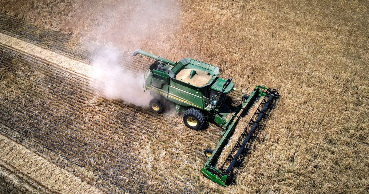 Stung by China’s tariffs, Australian growers embody novel markets – Al Jazeera English