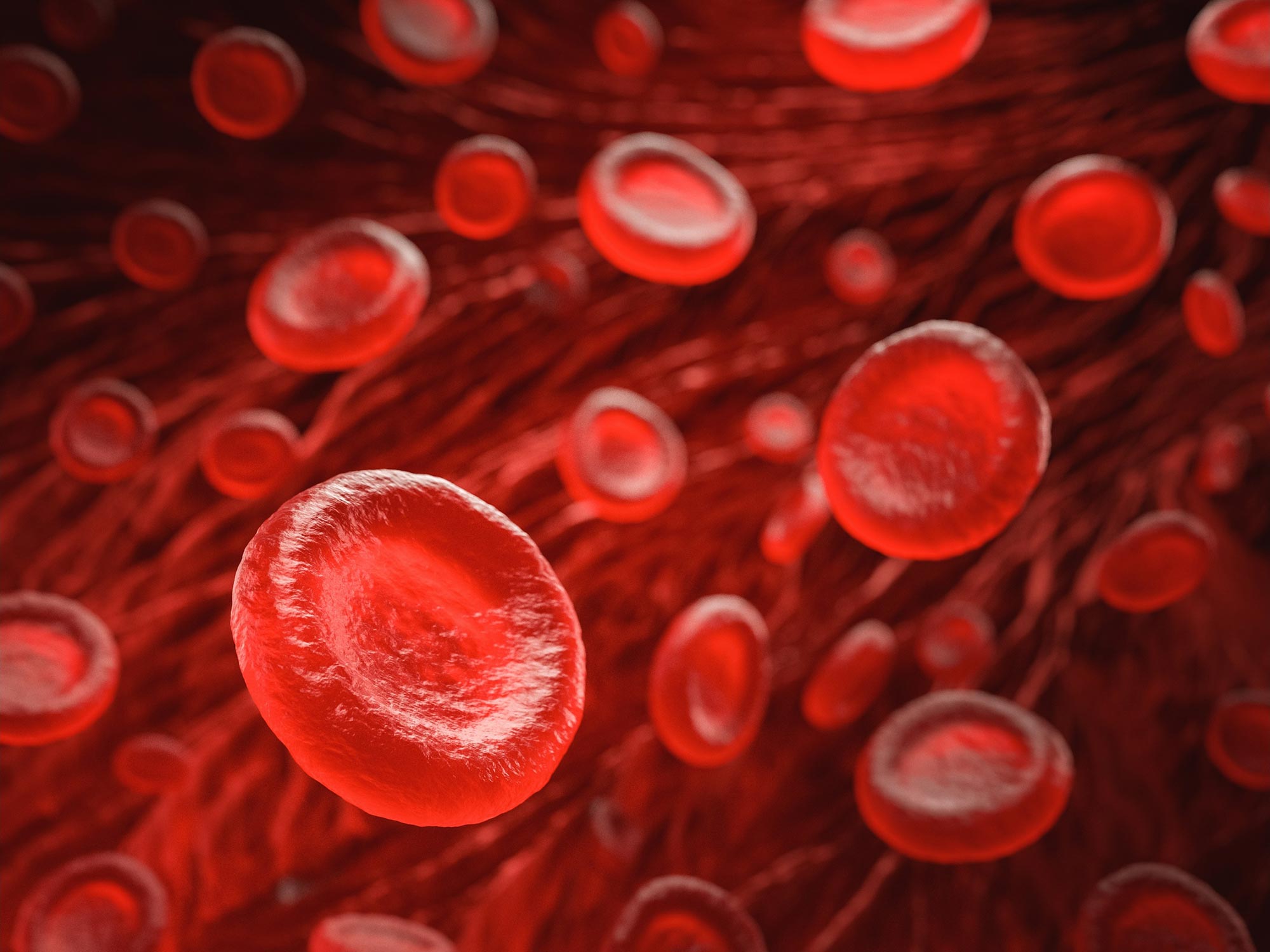 Rejuvenation Examine: Can Infusions of “Young” Blood Amplify Lifespan?