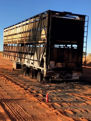 Cattle continue to exist truck fireplace attributable to like a flash-pondering driver on notorious Tanami Street