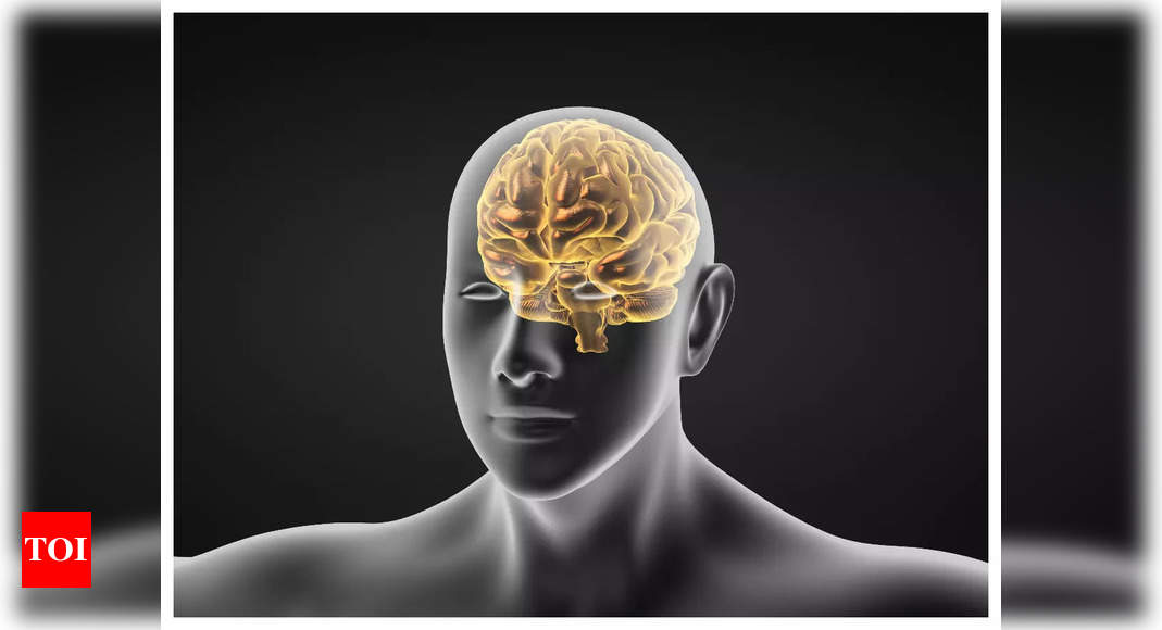 Brain aneurysms in India are fatal: “They’re among the most frequent cases we search in our Emergency departm – Times of India