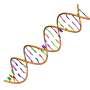 Twin-plasmid editing machine improves DNA digital storage most likely