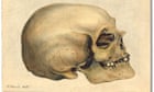 Ivy League university feature to rebury skulls of Unlit of us kept for centuries