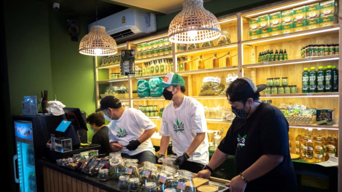 Hashish cafe opens in Bangkok correct weeks after drug decriminalised