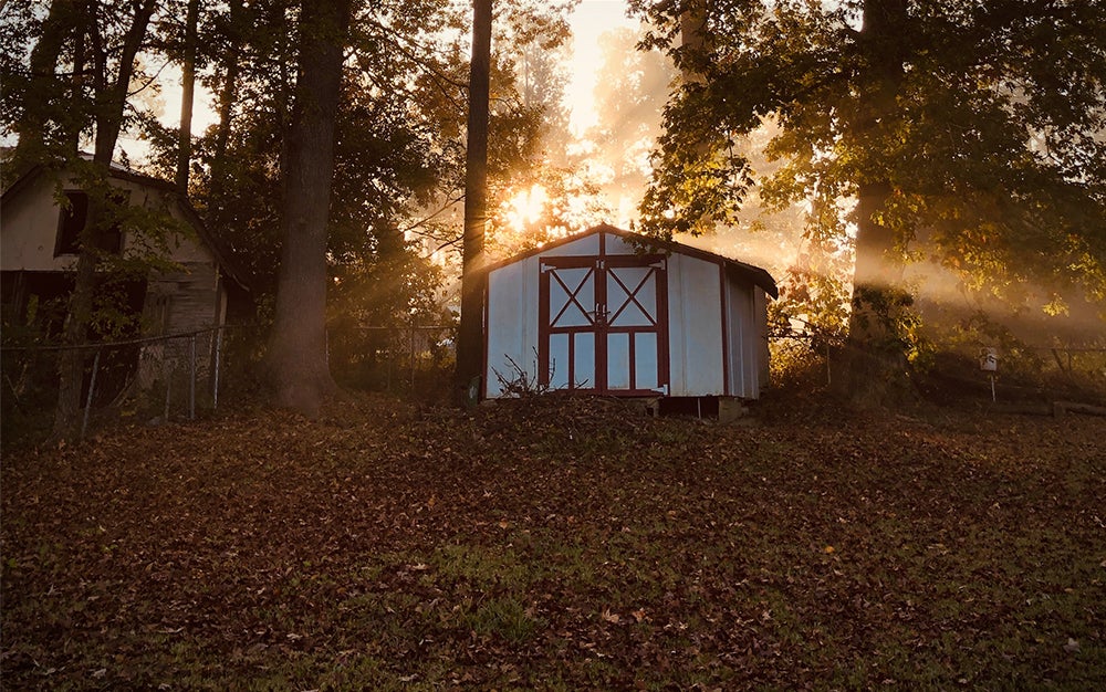 Finest storage sheds of 2022