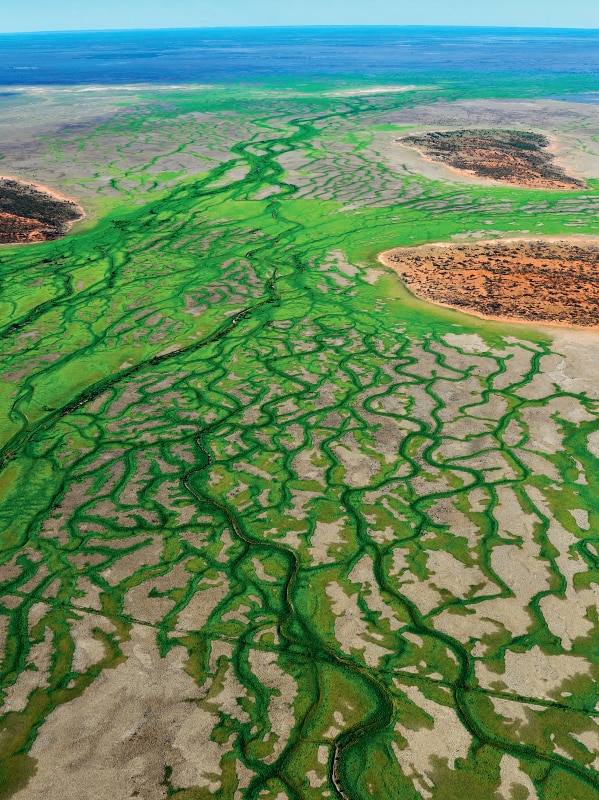 Natural purple meat production at possibility as opponents continue glimpse for clues about petroleum leases