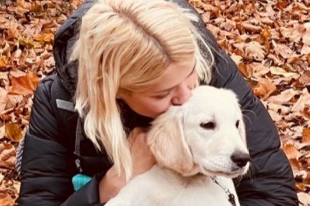 Holly Willoughby teases cute dwelling characteristic she’s planned for cherished dog Bailey