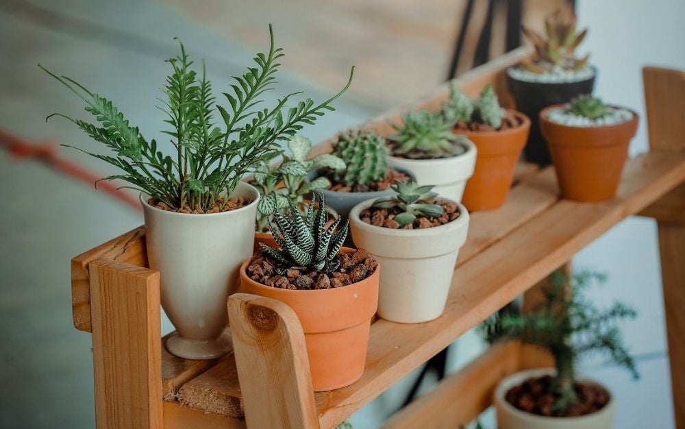 Most productive potting benches of 2022