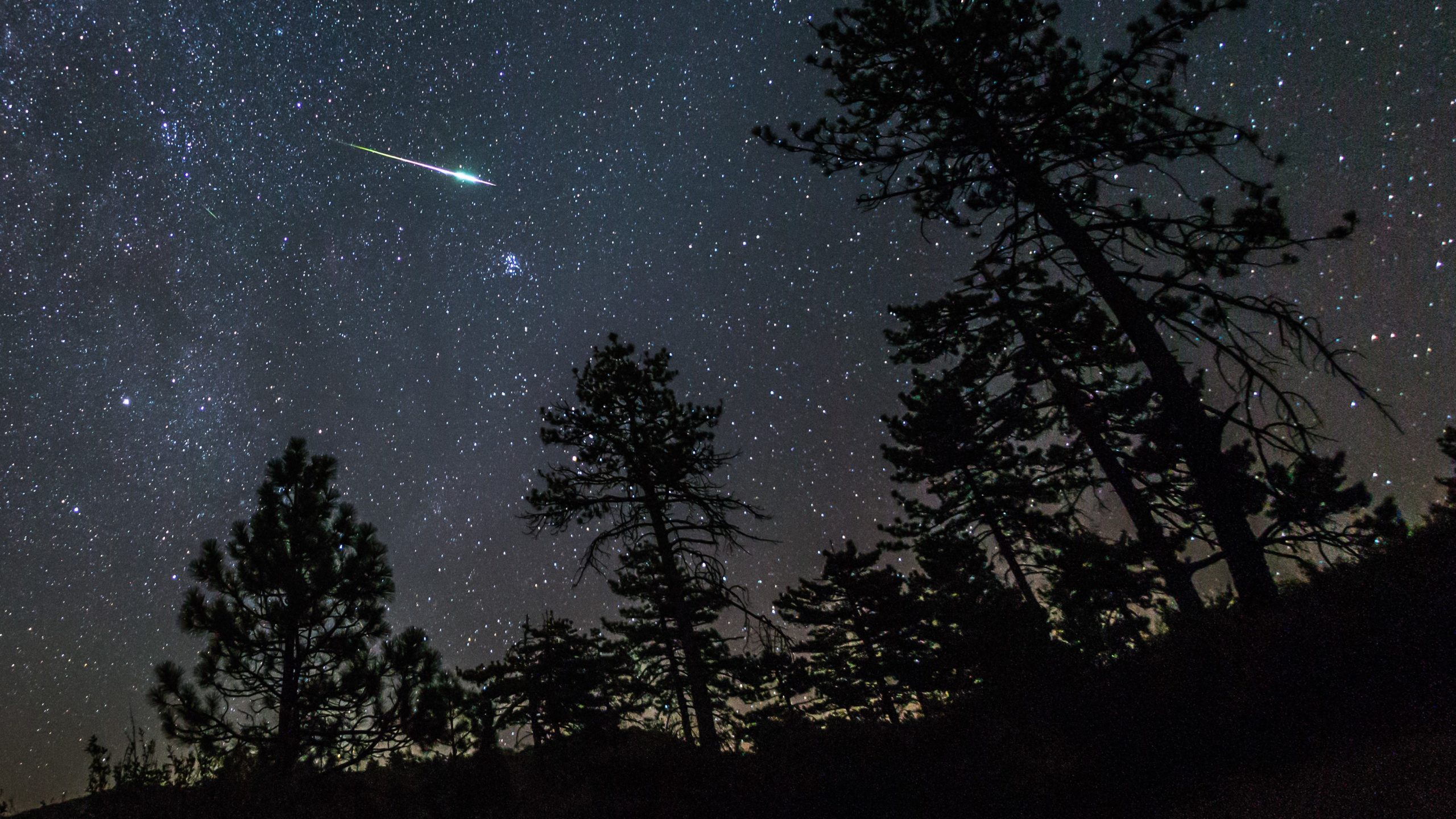 Perseid meteor bathe 2022 webcast: Behold the ‘taking pictures stars’ are residing on-line tonight!