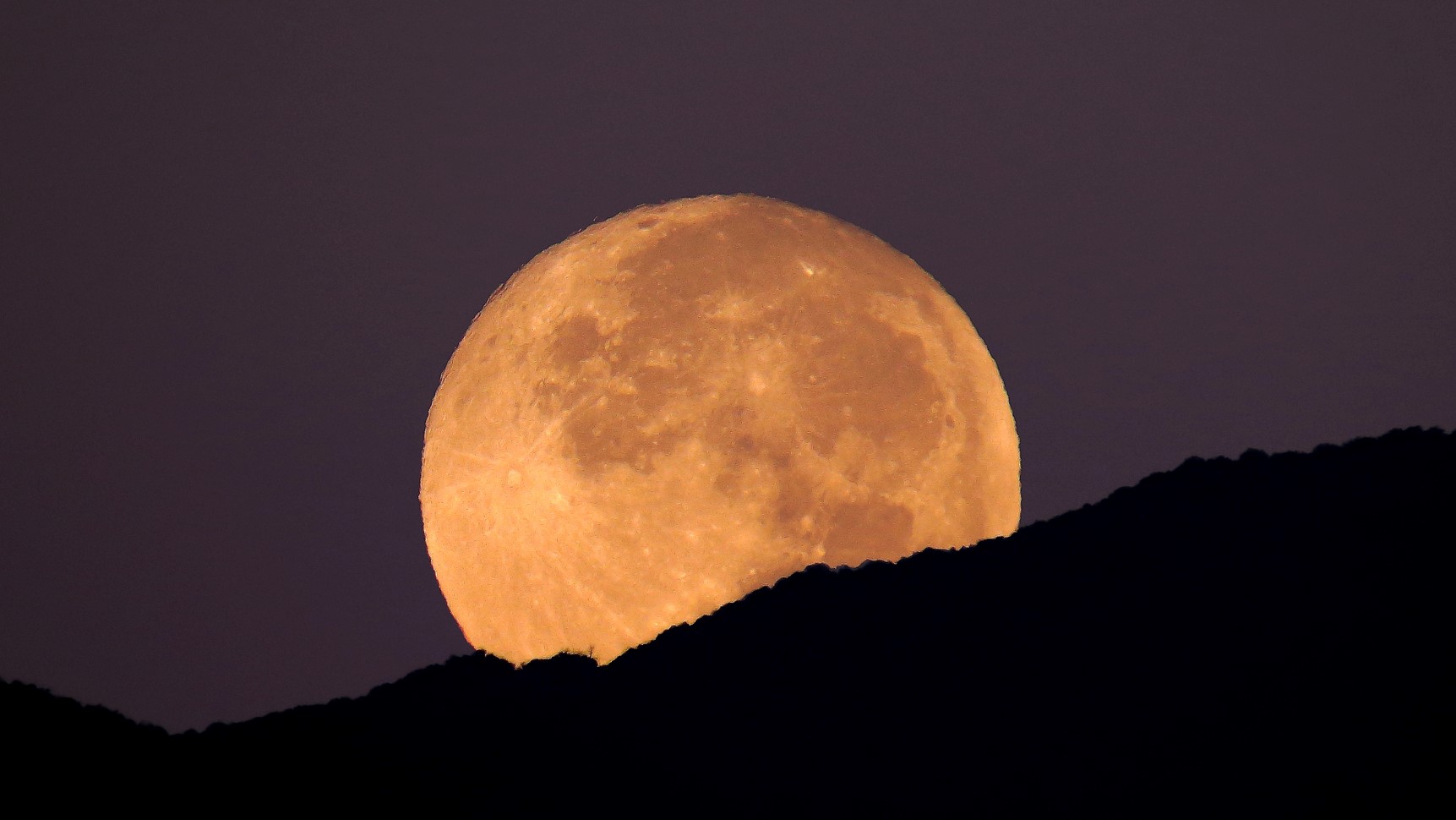 The final supermoon of the yr rises Thursday: Understand it on-line for free