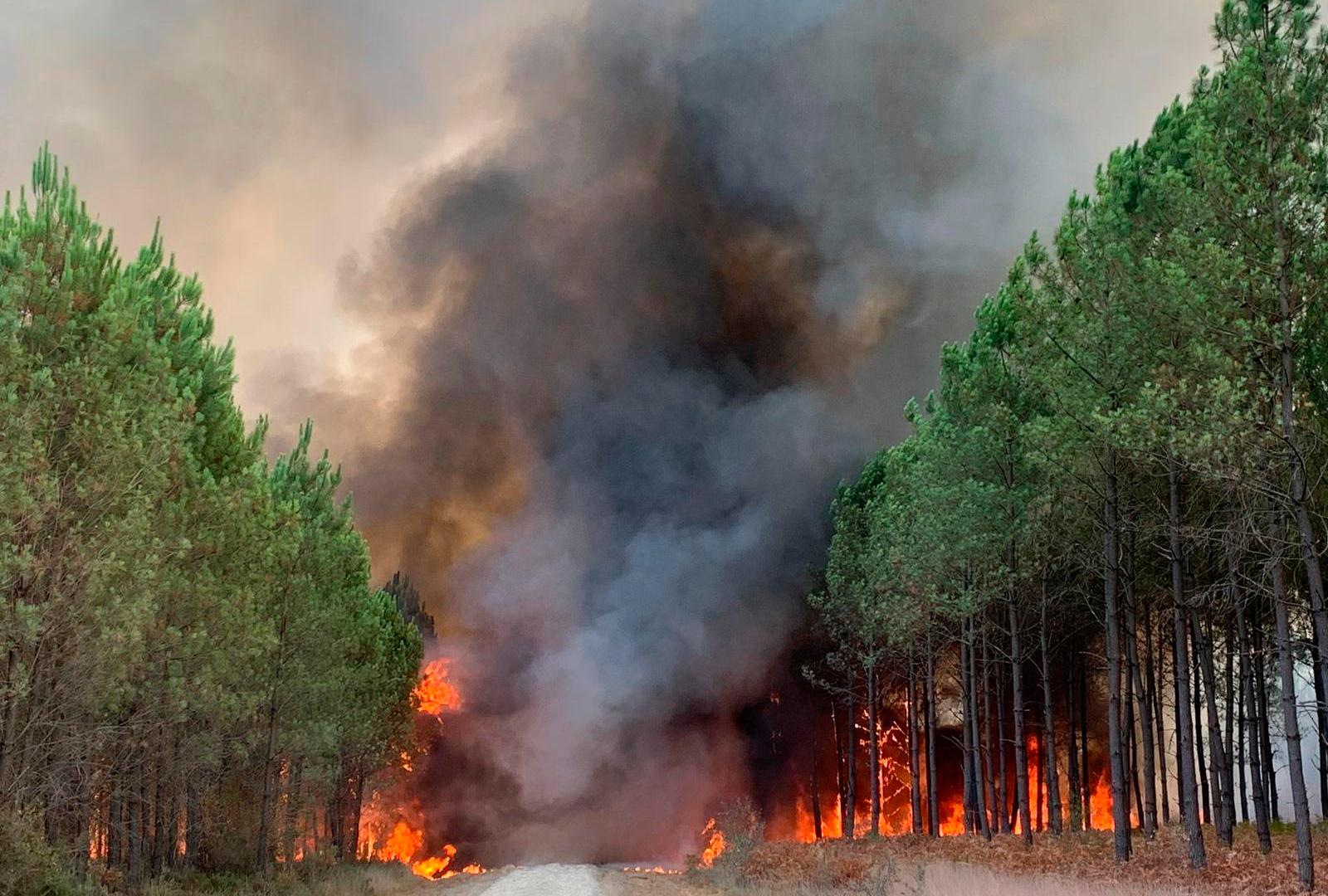 Hundreds evacuated from France’s Gironde as woodland fires rage