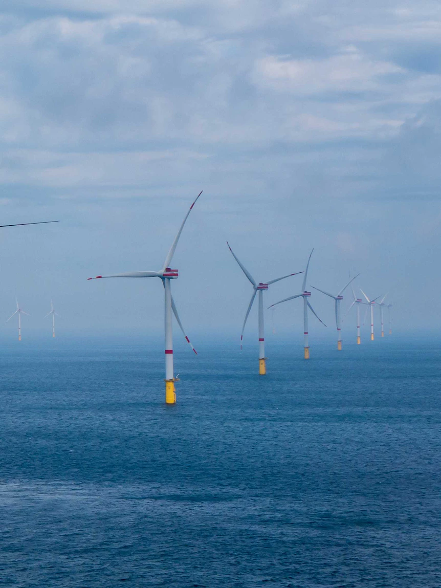 Industrial fishers to request compensation if excluded from new offshore wind farm zones