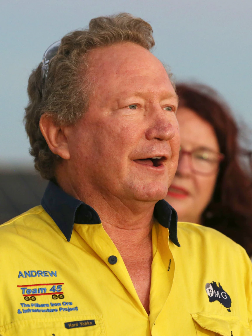 Andrew Forrest’s FMG inns applications to detect mining alternatives in WA’s Mammoth Southern