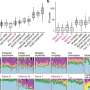 Immune cells create genomic scars in a lifetime defending in opposition to infection