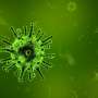 Dozens in China infected with Langya virus came all thru in shrews