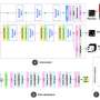 Is transfusion blood safe? AI holography machine tests blood quality without injections