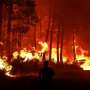 Firefighters battle blazes in southeast France