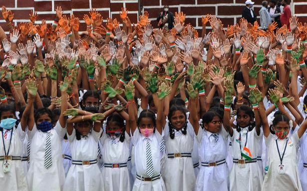 Tricolour in hand, patriotism in heart