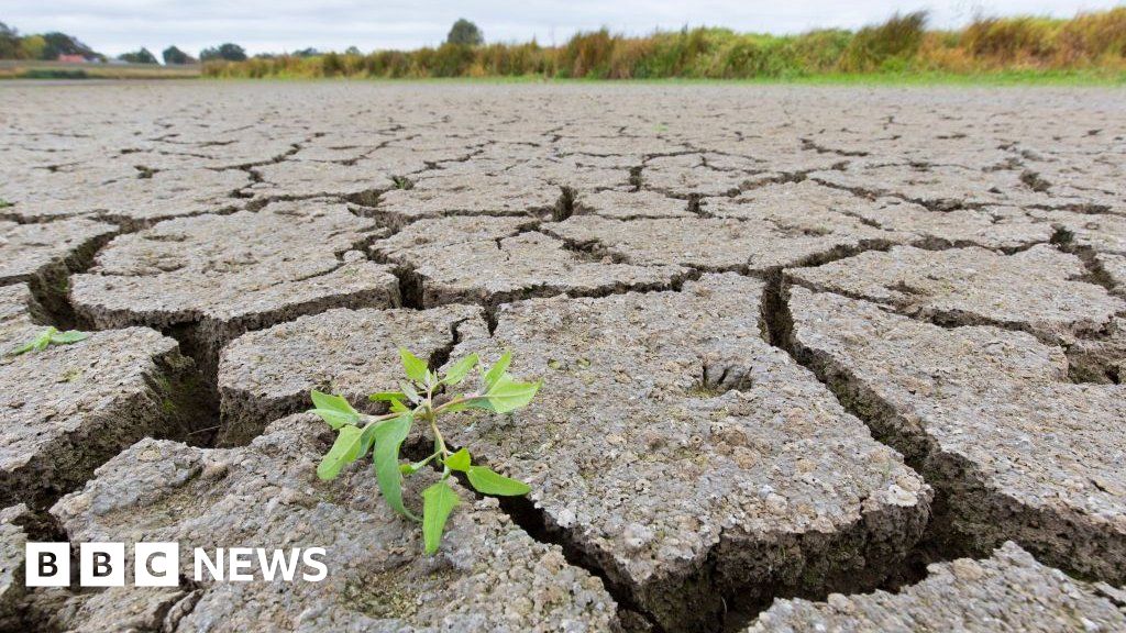 Thunderstorms: Why drought can lead to risky flooding