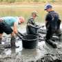 Dutch anglers attach fish as Rhine drought bites