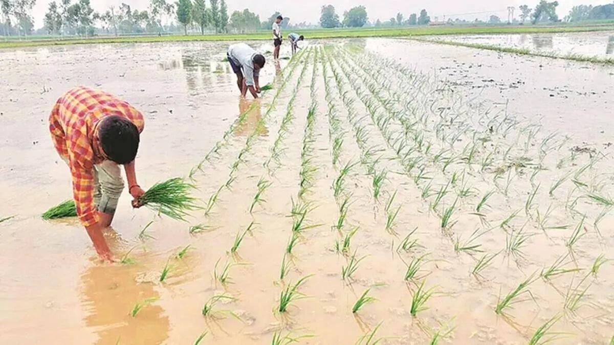 Now not up to a Third of India will get regular showers – The Monetary Particular